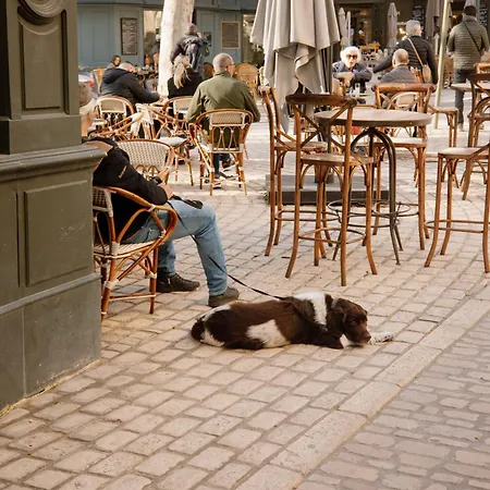 L'oustal Di Fabre - Avec Piscine A Vers-pont-du-gard Βίλα *