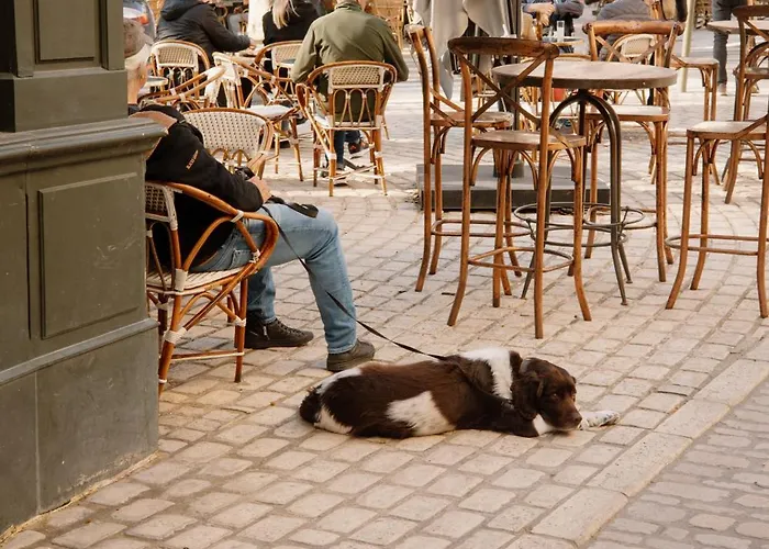 L'oustal Di Fabre - Avec Piscine A Vers-pont-du-gard Βίλα *